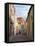 Old Town, Tallinn, Estonia, Baltic States, Europe-Harding Robert-Framed Stretched Canvas