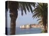 Old Town Through Palm Trees, Dubrovnik, Croatia, Europe-Martin Child-Stretched Canvas