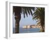 Old Town Through Palm Trees, Dubrovnik, Croatia, Europe-Martin Child-Framed Photographic Print