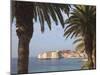Old Town Through Palm Trees, Dubrovnik, Croatia, Europe-Martin Child-Mounted Photographic Print