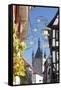 Old Town with Blauer Turm Tower, Bad Wimpfen, Neckartal Valley, Baden Wurttemberg, Germany, Europe-Marcus Lange-Framed Stretched Canvas