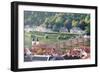 Old town with Karl-Theodor Bridge (Old Bridge) and gate, Neckar River, Heidelberg, Germany-Markus Lange-Framed Photographic Print