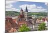 Old Town with St. Dionysius Church (Stadtkirche St. Dionys)-Markus Lange-Mounted Photographic Print