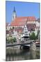 Old Town with Stiftskirche Church and the Neckar River-Markus-Mounted Photographic Print