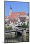 Old Town with Stiftskirche Church and the Neckar River-Markus-Mounted Photographic Print