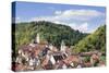 Old Town with Stiftskirche Heilig Kreuz Collegiate Church, Horb Am Neckar, Black Forest-Marcus Lange-Stretched Canvas