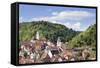 Old Town with Stiftskirche Heilig Kreuz Collegiate Church, Horb Am Neckar, Black Forest-Marcus Lange-Framed Stretched Canvas