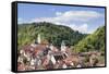 Old Town with Stiftskirche Heilig Kreuz Collegiate Church, Horb Am Neckar, Black Forest-Marcus Lange-Framed Stretched Canvas