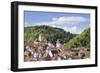 Old Town with Stiftskirche Heilig Kreuz Collegiate Church, Horb Am Neckar, Black Forest-Marcus Lange-Framed Photographic Print