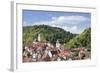 Old Town with Stiftskirche Heilig Kreuz Collegiate Church, Horb Am Neckar, Black Forest-Marcus Lange-Framed Photographic Print