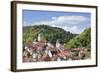 Old Town with Stiftskirche Heilig Kreuz Collegiate Church, Horb Am Neckar, Black Forest-Marcus Lange-Framed Photographic Print