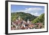 Old Town with Stiftskirche Heilig Kreuz Collegiate Church, Horb Am Neckar, Black Forest-Marcus Lange-Framed Photographic Print