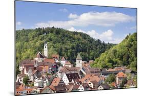 Old Town with Stiftskirche Heilig Kreuz Collegiate Church, Horb Am Neckar, Black Forest-Marcus Lange-Mounted Photographic Print
