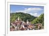 Old Town with Stiftskirche Heilig Kreuz Collegiate Church, Horb Am Neckar, Black Forest-Marcus Lange-Framed Photographic Print