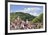 Old Town with Stiftskirche Heilig Kreuz Collegiate Church, Horb Am Neckar, Black Forest-Marcus Lange-Framed Photographic Print