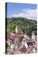 Old Town with Stiftskirche Heilig Kreuz Collegiate Church, Horb Am Neckar, Black Forest-Marcus Lange-Stretched Canvas