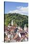 Old Town with Stiftskirche Heilig Kreuz Collegiate Church, Horb Am Neckar, Black Forest-Marcus Lange-Stretched Canvas