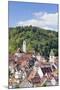 Old Town with Stiftskirche Heilig Kreuz Collegiate Church, Horb Am Neckar, Black Forest-Marcus Lange-Mounted Photographic Print