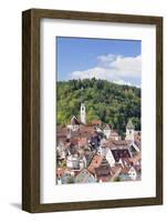 Old Town with Stiftskirche Heilig Kreuz Collegiate Church, Horb Am Neckar, Black Forest-Marcus Lange-Framed Photographic Print