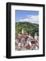 Old Town with Stiftskirche Heilig Kreuz Collegiate Church, Horb Am Neckar, Black Forest-Marcus Lange-Framed Photographic Print