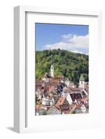 Old Town with Stiftskirche Heilig Kreuz Collegiate Church, Horb Am Neckar, Black Forest-Marcus Lange-Framed Photographic Print