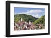 Old Town with Stiftskirche Heilig Kreuz Collegiate Church, Horb Am Neckar, Black Forest-Marcus Lange-Framed Photographic Print