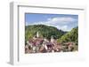 Old Town with Stiftskirche Heilig Kreuz Collegiate Church, Horb Am Neckar, Black Forest-Marcus Lange-Framed Photographic Print