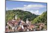 Old Town with Stiftskirche Heilig Kreuz Collegiate Church, Horb Am Neckar, Black Forest-Marcus Lange-Mounted Photographic Print