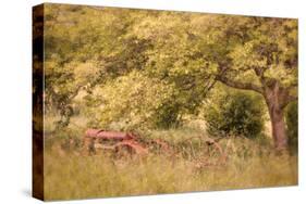 Old Tractor I-Kathy Mahan-Stretched Canvas