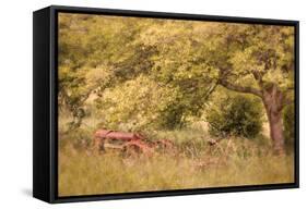 Old Tractor I-Kathy Mahan-Framed Stretched Canvas