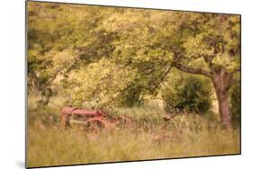 Old Tractor I-Kathy Mahan-Mounted Photographic Print