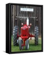 Old tractor, Indiana, USA-Anna Miller-Framed Stretched Canvas