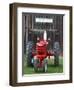 Old tractor, Indiana, USA-Anna Miller-Framed Premium Photographic Print