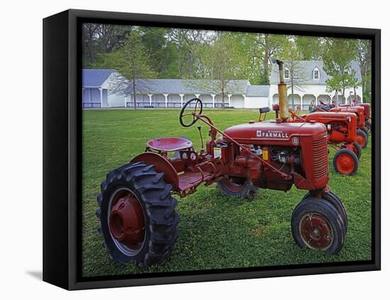 Old Tractors, Chippokes Plantation State Park, Virginia, USA-Charles Gurche-Framed Stretched Canvas