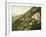 Old Trail to Mount Wilson, Pasadena, California, 1900-American School-Framed Giclee Print