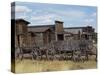 Old Trail Town, Cody, Wyoming, USA-null-Stretched Canvas