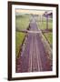 Old Train Line-Steve Allsopp-Framed Photographic Print