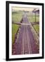 Old Train Line-Steve Allsopp-Framed Photographic Print