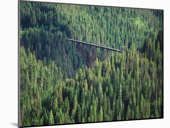 Old Train Trestle, Hiawatha Bike Trail, Idaho, USA-Brent Bergherm-Mounted Photographic Print