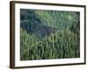 Old Train Trestle, Hiawatha Bike Trail, Idaho, USA-Brent Bergherm-Framed Photographic Print