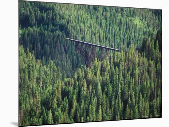 Old Train Trestle, Hiawatha Bike Trail, Idaho, USA-Brent Bergherm-Mounted Photographic Print