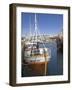 Old Trawler in Husavik Harbour, Skjalfandi Bay, North Area, Iceland, Polar Regions-Neale Clarke-Framed Photographic Print