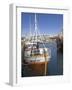 Old Trawler in Husavik Harbour, Skjalfandi Bay, North Area, Iceland, Polar Regions-Neale Clarke-Framed Photographic Print