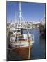 Old Trawler in Husavik Harbour, Skjalfandi Bay, North Area, Iceland, Polar Regions-Neale Clarke-Mounted Photographic Print