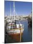 Old Trawler in Husavik Harbour, Skjalfandi Bay, North Area, Iceland, Polar Regions-Neale Clarke-Mounted Photographic Print