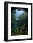 Old Tree Branches On The Floor Of Cenote Pool, Beneath The Forest Canopy With Snell'S Window Effect-Alex Mustard-Framed Photographic Print