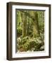 Old trees in the Sunik water grove, Lepenatal, Triglav national park, Julian Alps, Slovenia-Michael Jaeschke-Framed Photographic Print