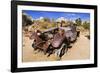 Old truck at the Wall Street Stamp Mill, Joshua Tree National Park, California, USA-Russ Bishop-Framed Photographic Print