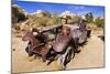 Old truck at the Wall Street Stamp Mill, Joshua Tree National Park, California, USA-Russ Bishop-Mounted Photographic Print