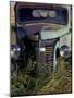 Old Truck in Field, Gennesse, Idaho, USA-Darrell Gulin-Mounted Photographic Print